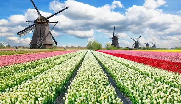 Netherlands